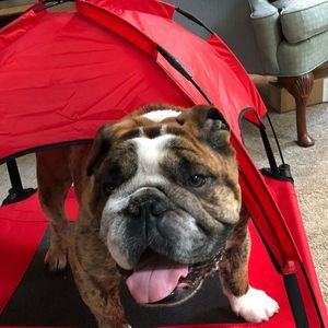 Meet your Posher, Kathy